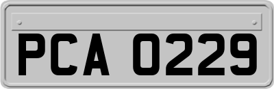 PCA0229