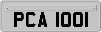 PCA1001