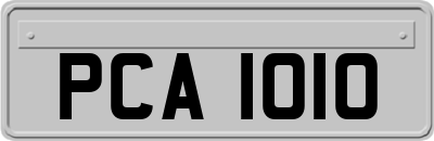 PCA1010