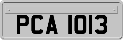 PCA1013
