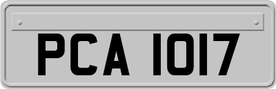 PCA1017