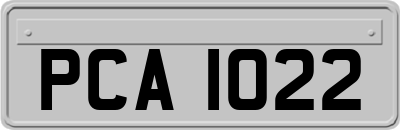 PCA1022