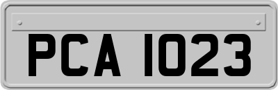 PCA1023