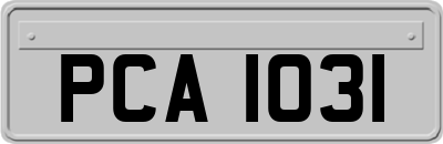 PCA1031