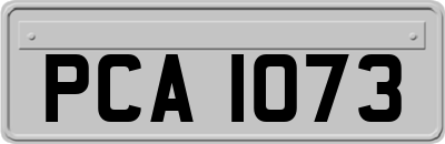 PCA1073