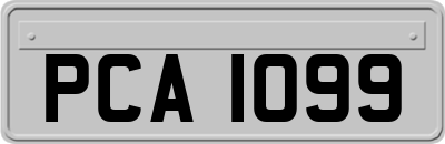 PCA1099