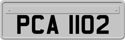 PCA1102