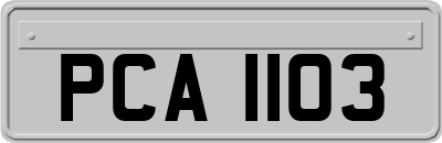PCA1103