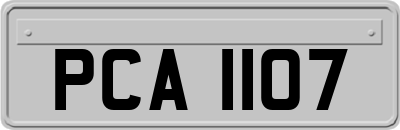 PCA1107