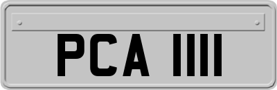 PCA1111