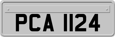 PCA1124