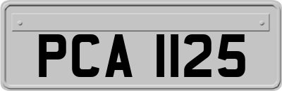 PCA1125