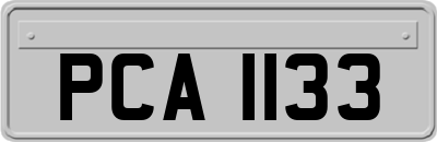 PCA1133
