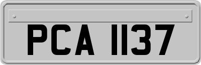 PCA1137