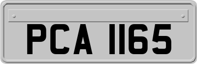 PCA1165