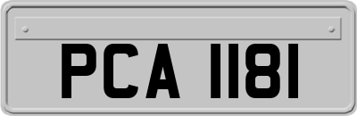 PCA1181