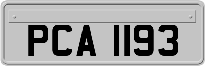 PCA1193
