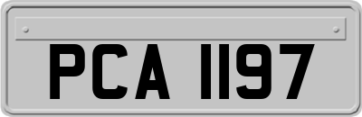 PCA1197