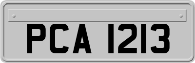 PCA1213