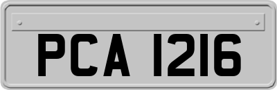 PCA1216