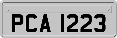 PCA1223