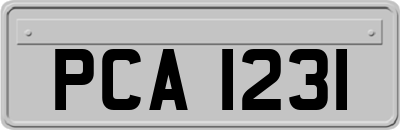 PCA1231