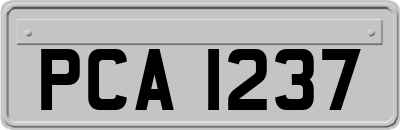 PCA1237