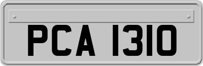 PCA1310