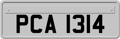 PCA1314