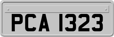 PCA1323