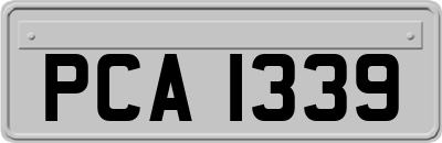 PCA1339
