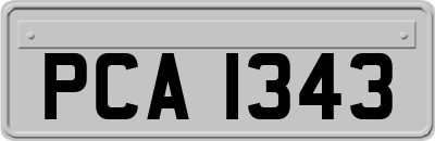 PCA1343