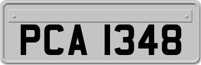 PCA1348