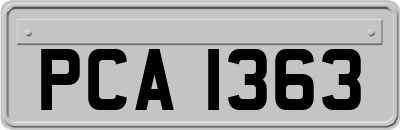 PCA1363