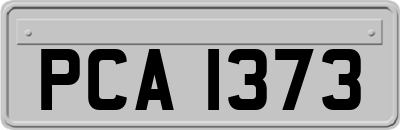 PCA1373