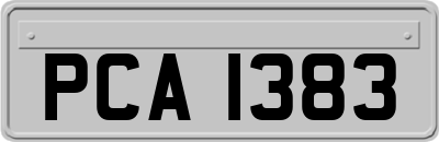 PCA1383