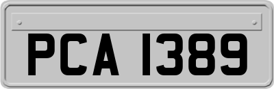 PCA1389