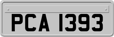 PCA1393