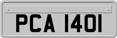 PCA1401