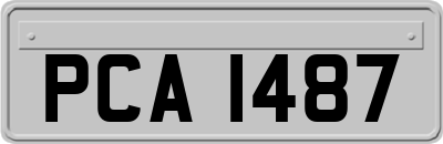 PCA1487