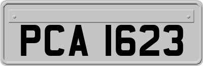 PCA1623
