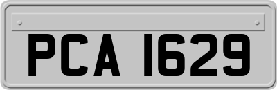 PCA1629