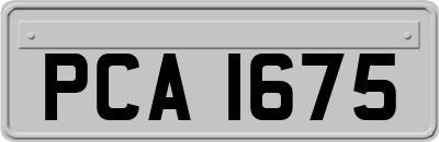 PCA1675