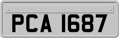 PCA1687