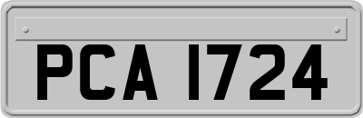 PCA1724