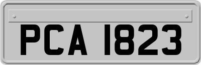 PCA1823