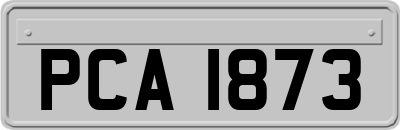PCA1873