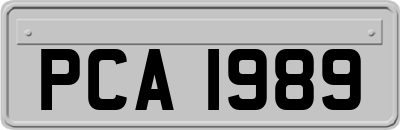 PCA1989