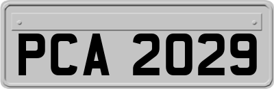 PCA2029