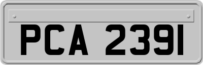 PCA2391